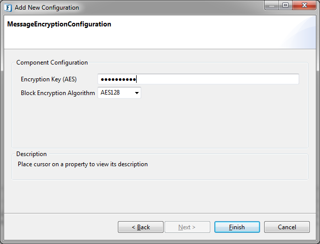 Provide Encryption Key and Algorithm