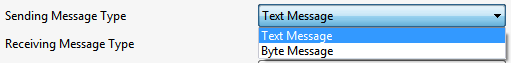 Message Type options