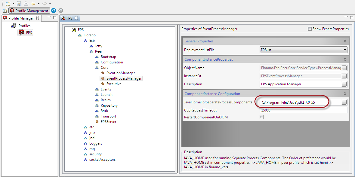 JavaHomeForSeparateProcessComponents.png