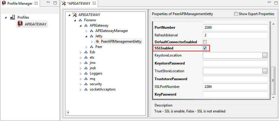 Configuring Jetty for AGS.png