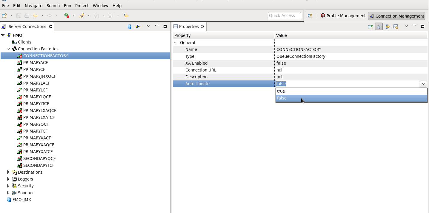 26.How to Set Auto Update Property for a Connection Factory2.png