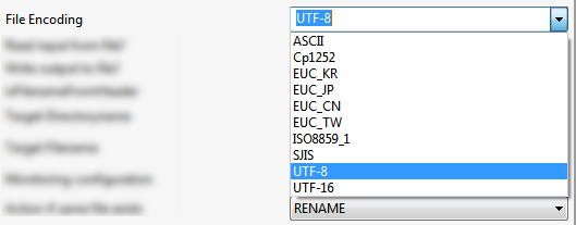 fileecoding.png